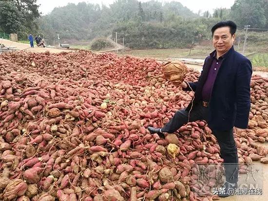 鎺ㄨ繘浜т笟鎵惰传,浜т笟鎵惰传閾哄氨鑷村瘜涔嬭矾