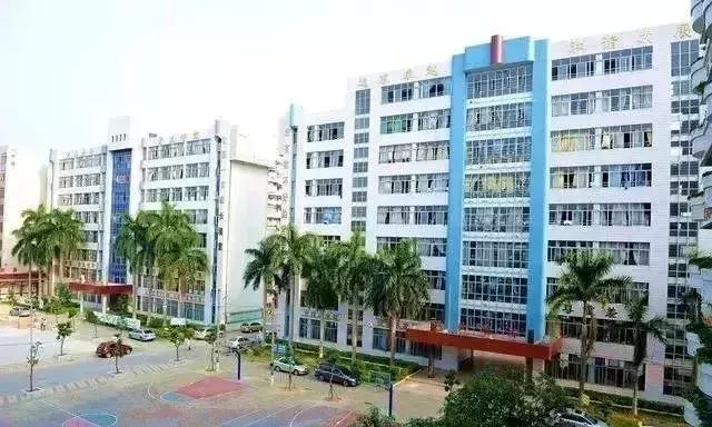 湛江教育机构被查,湛江通报批评