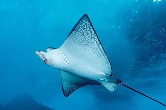 深圳十大暑假室内必去景点,深圳暑假值得带孩子旅游的地方