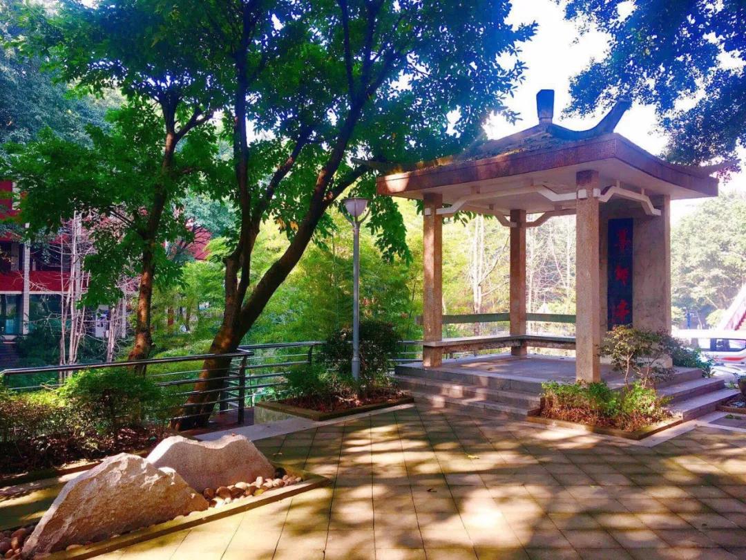 重庆一中与巴蜀中学哪个好,重庆一中全校前十名