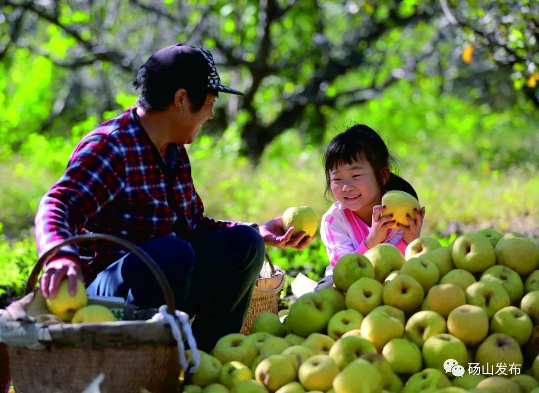 来赴一场雪乡长白山之约,来赴一场冬日的黄金之约