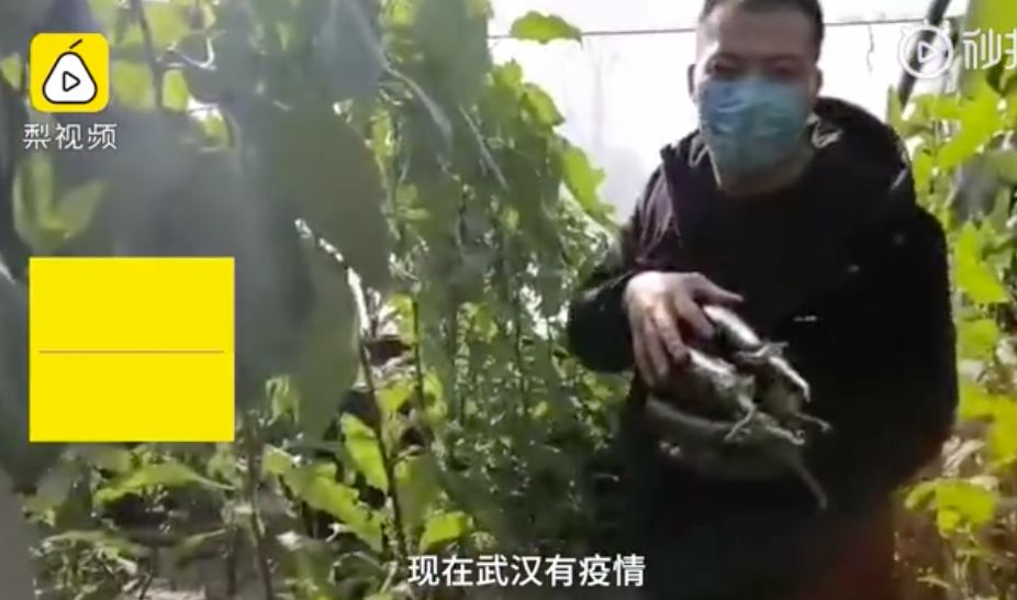 鐐瑰悕涓滃寳,涓滃寳鐐瑰悕瑙嗛