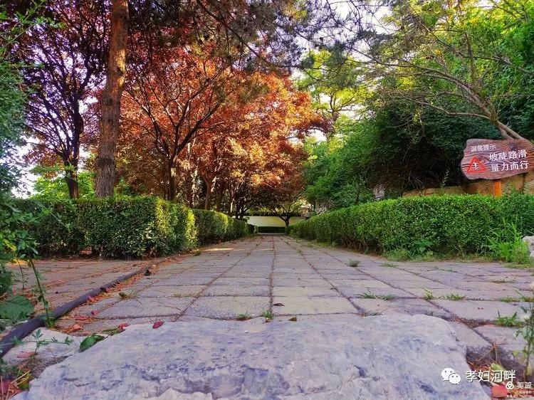 博山初夏风景图片,在博山公园藏着独特的宁静