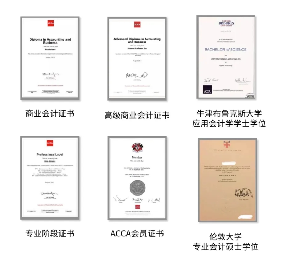 会计学acca就业前景,毕业后收入高的文科专业