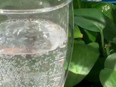 多亏这几块钱的快乐，最近我每天都幸福得冒泡