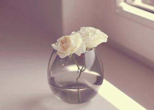 高中语文必修1-5课本成语大全,人教版高中语文必修150个成语