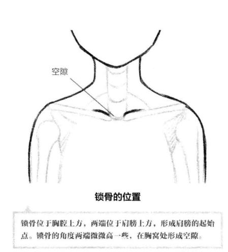 零基础漫画侧脸教程,初学漫画头入门零基础