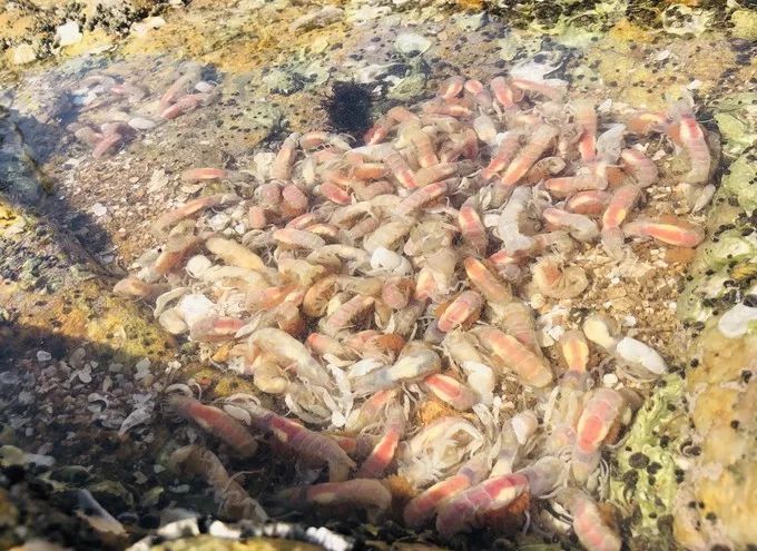 加格达奇出发鲅鱼圈旅游攻略,鲅鱼圈出发的周边自驾游