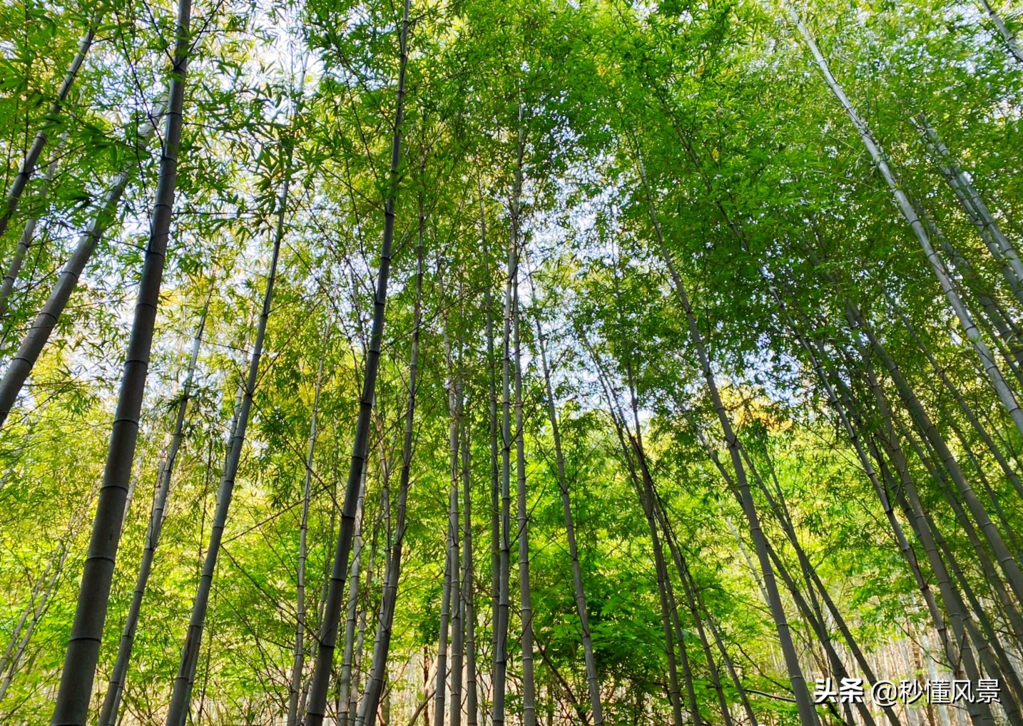 苏州避暑景点排名前十,苏州避暑旅游景点