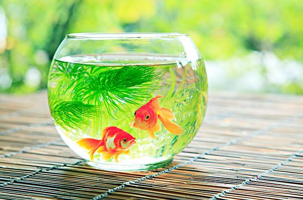 老祖宗不送的东西,东西七不送送了人财两空