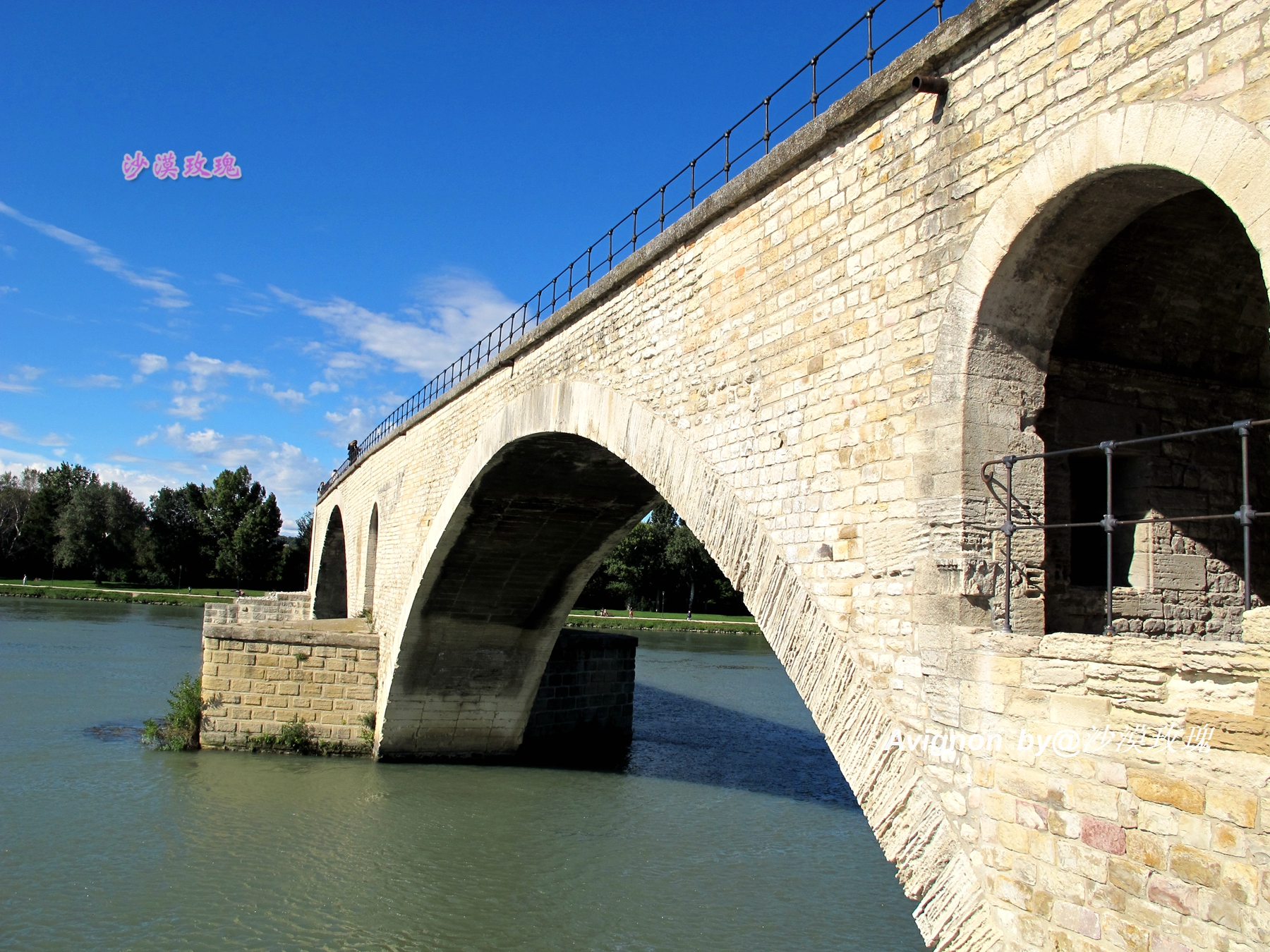 普罗旺斯有浪漫的薰衣草,普罗旺斯未开的熏衣草