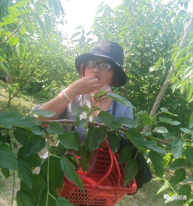 这种白果，民权90/%以上的朋友没吃过，不信？打赌