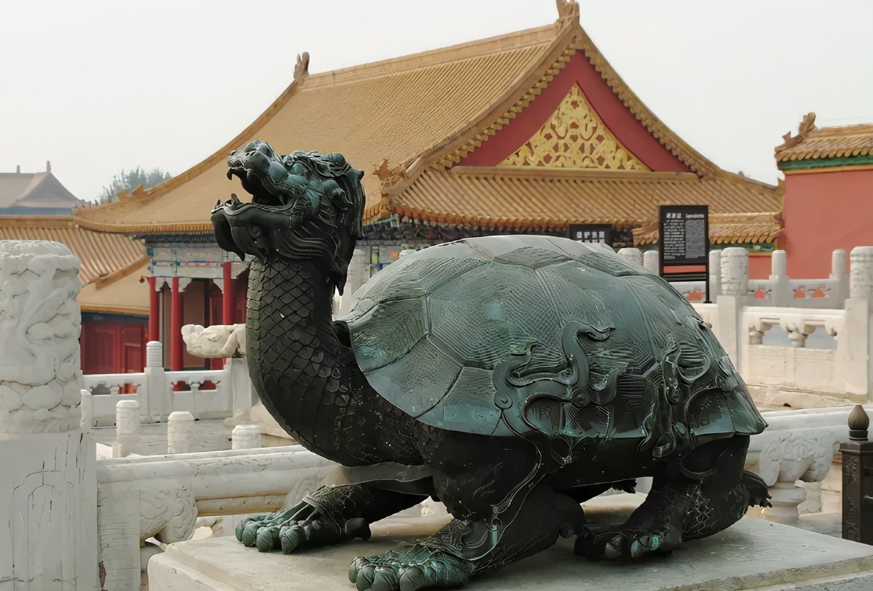 乌龟为什么能活那么多,乌龟为什么能活得那么长时间