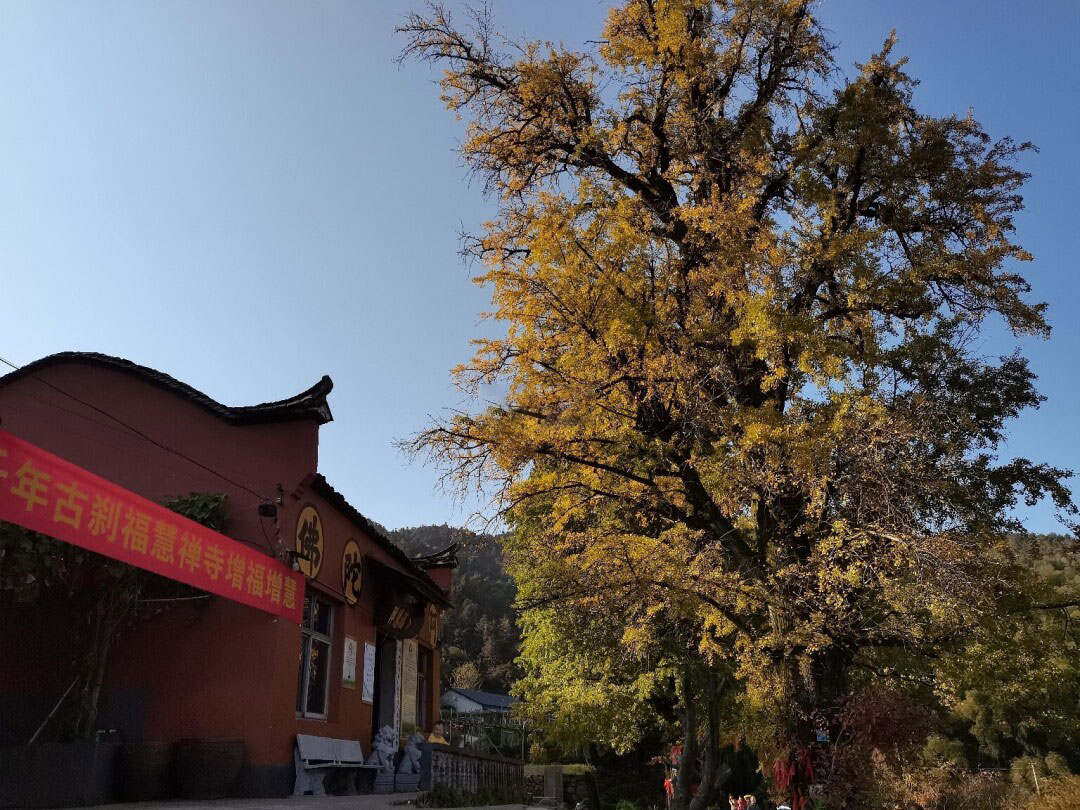 衢州乌石山福慧禅寺,乌石山福慧禅寺