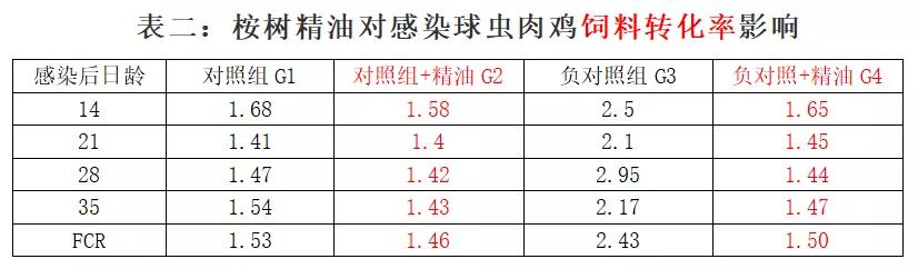 桉树精油杀疥螨,桉树长效抗虫药