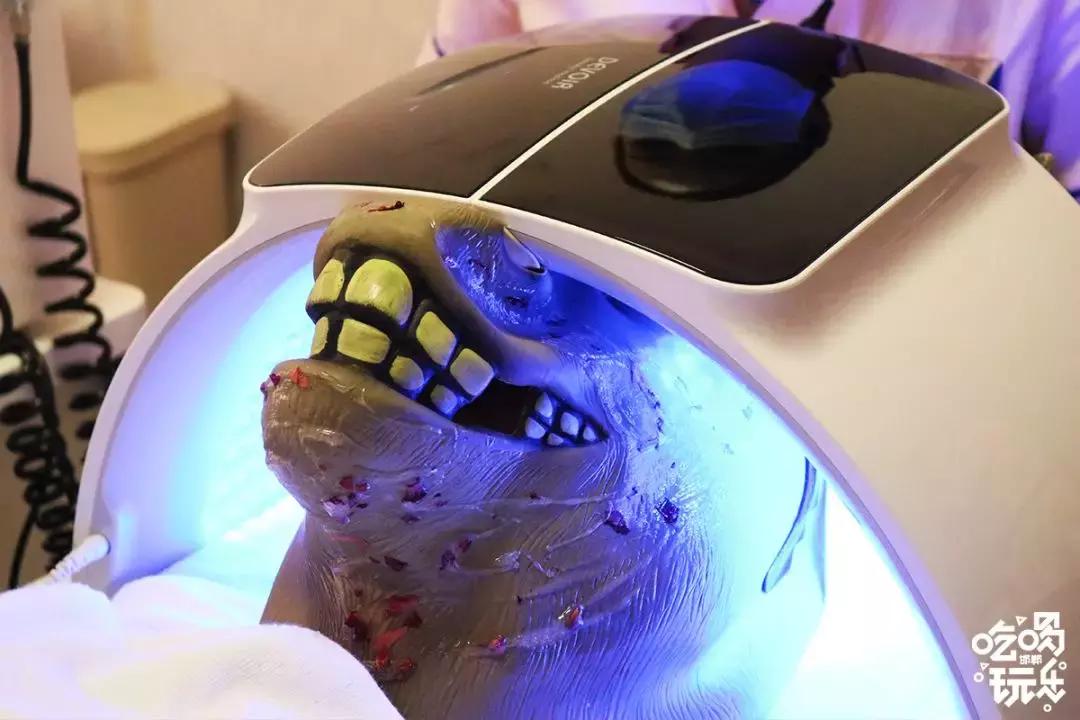 鑺辩摚缇庡鎶よ偆,鑺辩摚鎶よ偆