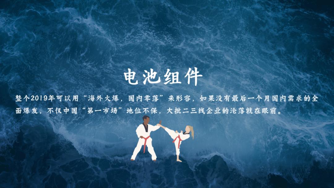 2019年光伏企业财报分析（上）：电池组件、硅料硅片及逆变器篇