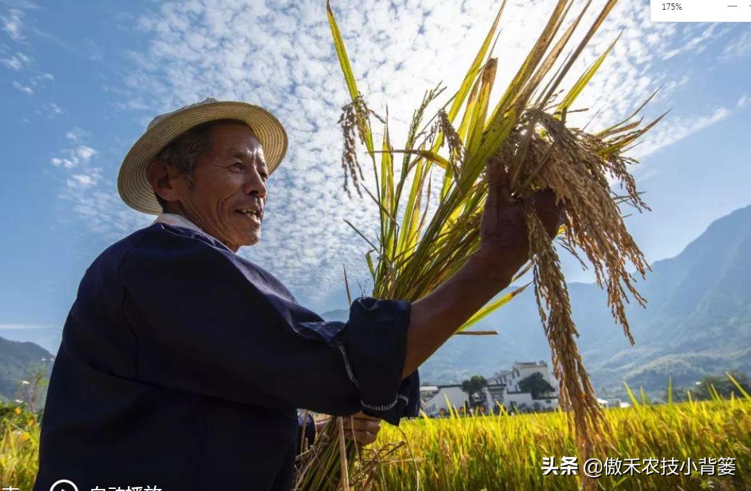 如何区分尿素氯化铵和硫酸铵,如何区分硝酸铵硫酸铵和尿素