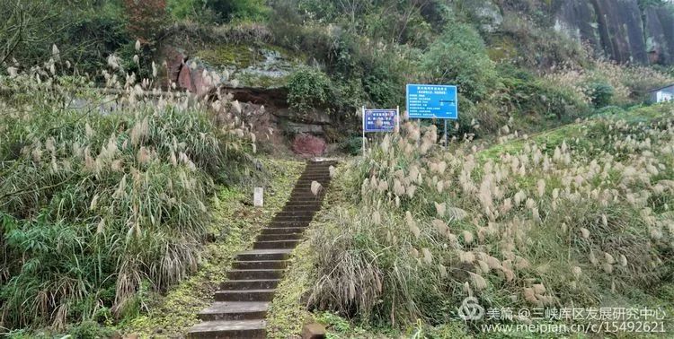 北碚复兴镇最近的视频,重庆市北碚龙门桥