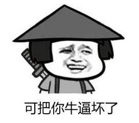 假洋品牌包轻奢侈,假洋牌女包