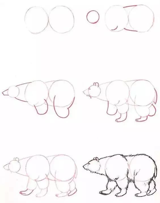 1-10数字动物简笔画图片大全,简笔画小动物100种可爱海底动物