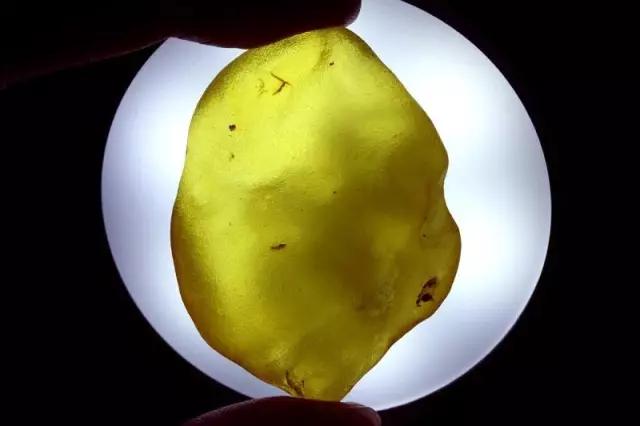 蜜蜡矿坑,蜜蜡矿点是什么