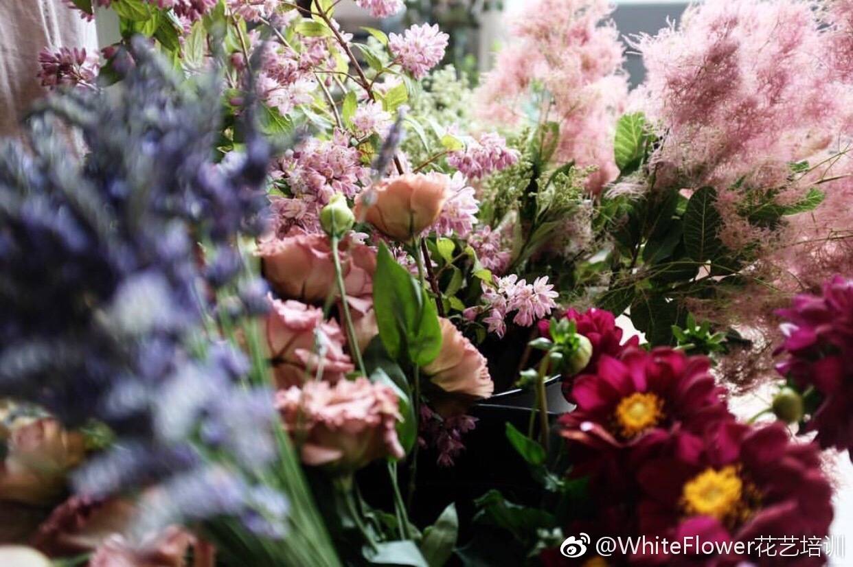 whiteflower闂ㄥ簵,whiteflower