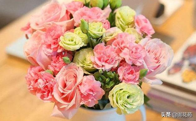 母亲节送康乃馨配什么花最适合,母亲节送康乃馨花怎么送