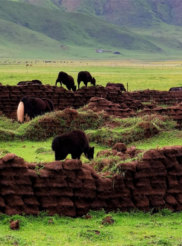 一条绝美草原之路,一条绝美的自驾公路