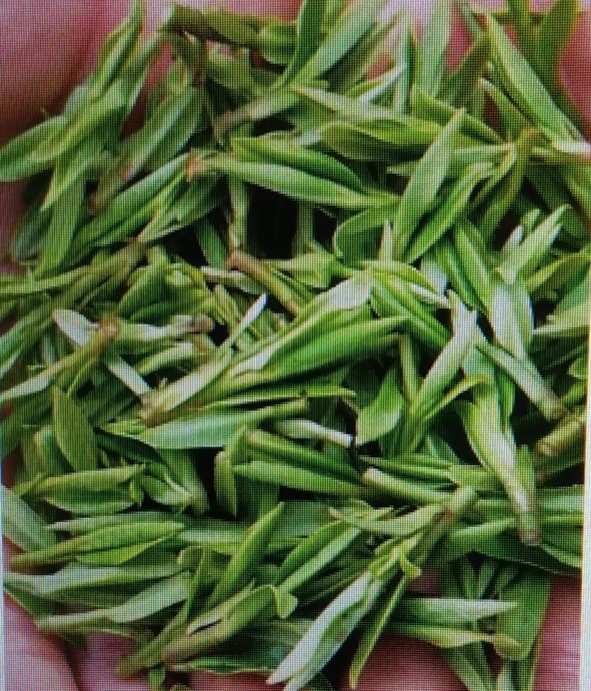 男虎女龙龙虎斗,龙虎相斗是龙是虎