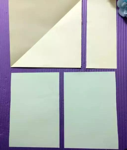 有颜色的玫瑰是怎么做出来的,白玫瑰怎么做七彩玫瑰