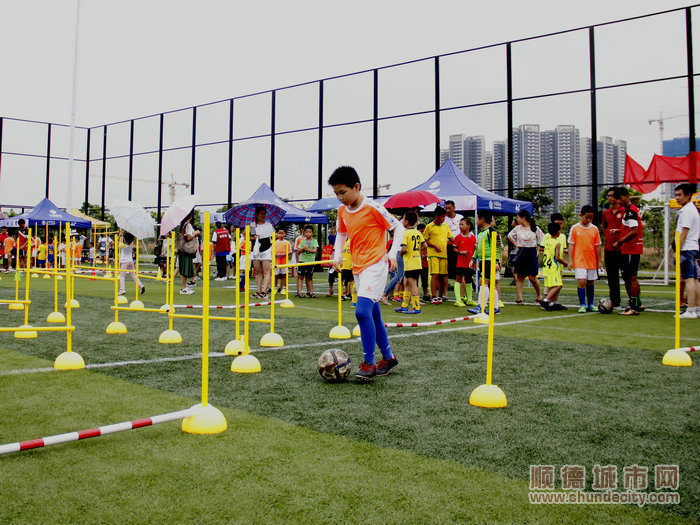 顺德区中小学生足球赛,顺德区中小学生足球赛2018年