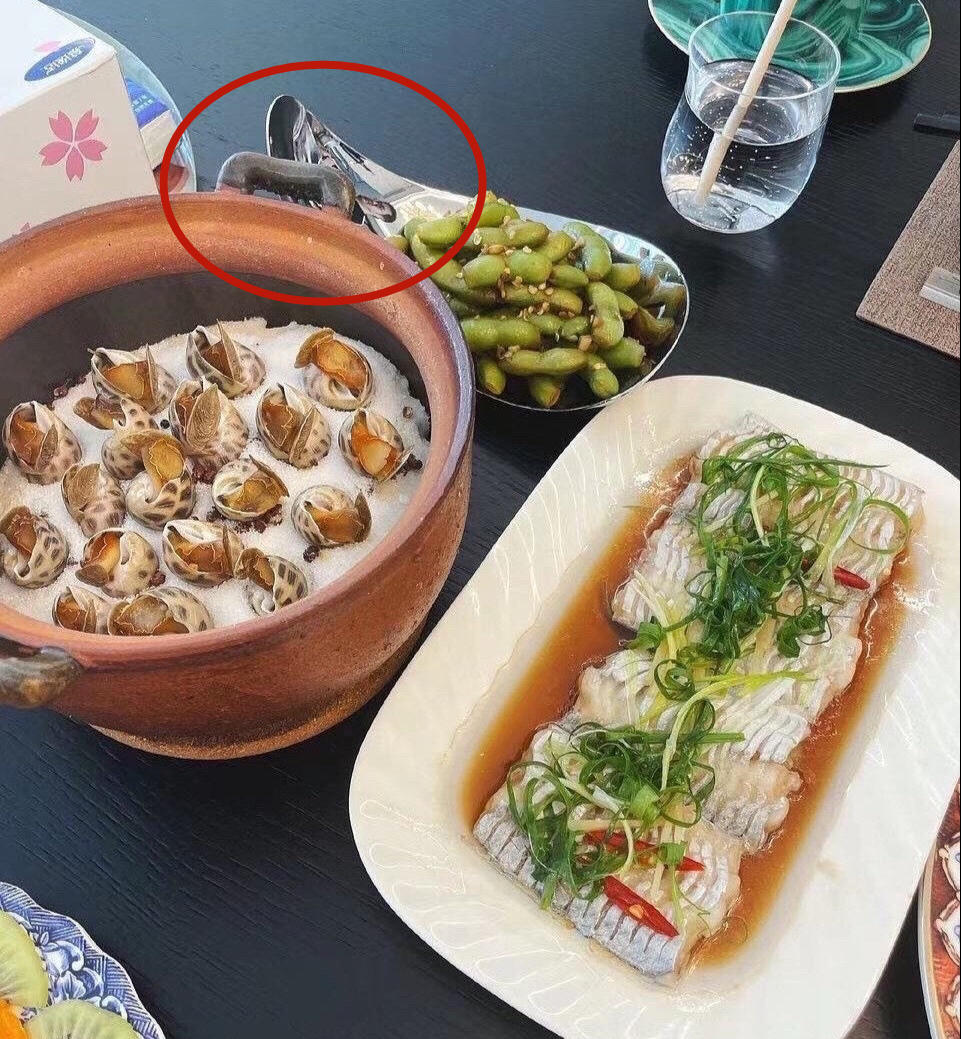 董花花与蒋凡现在怎么样了,阔太太落魄后生活水平