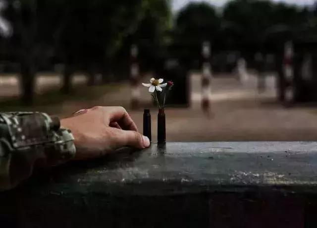 太神奇!我用这三招就化解了和兵哥的所有矛盾