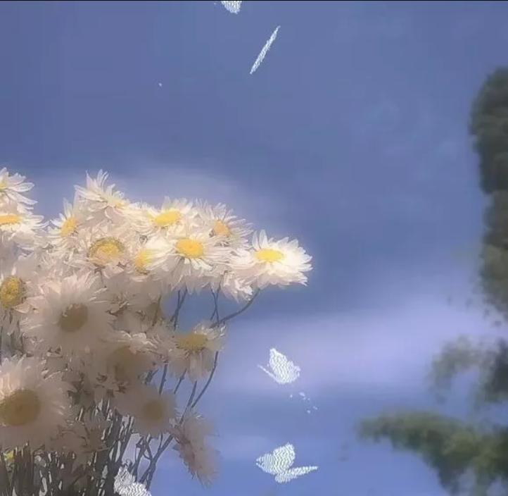 我很想你但不会再找你了,我很想你但不会找你图片