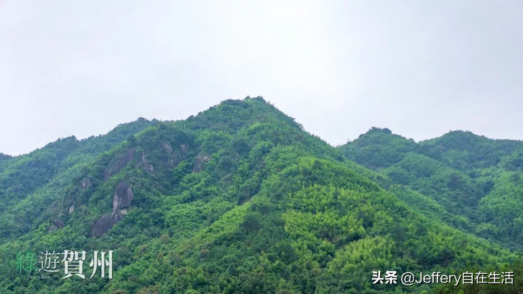 拍贺州｜莲塘镇大山深处的“一号基地”