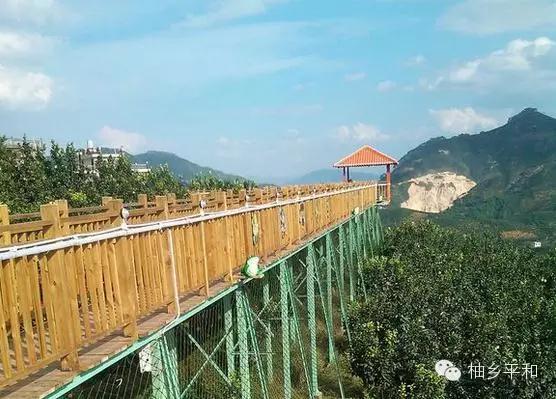 平和个人资料简介,平和的个人资料