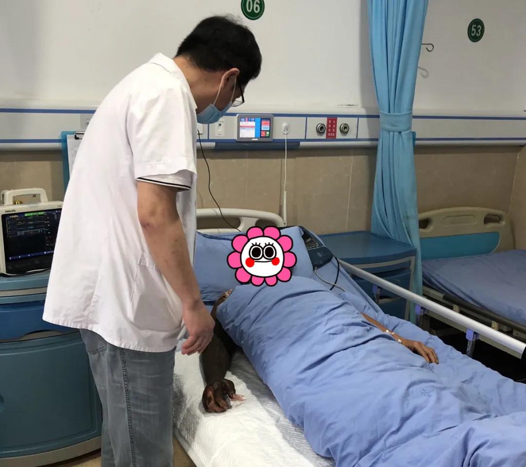 女子在田间劳作被蛇咬,女子干活时被毒蛇咬伤左手溃烂