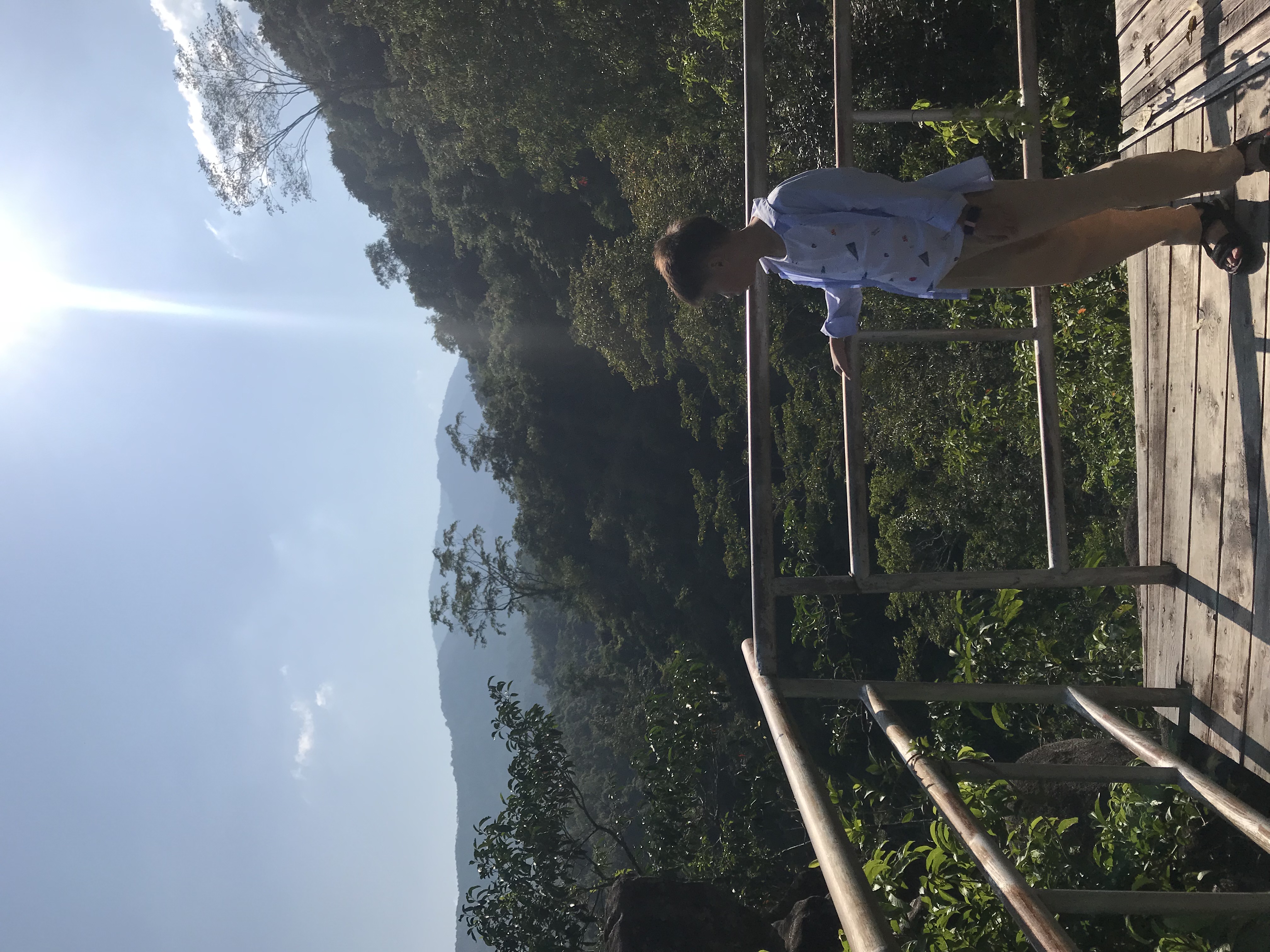 1500年的“母生”藏于此，这里集海南珍稀名木，神奇霸王岭