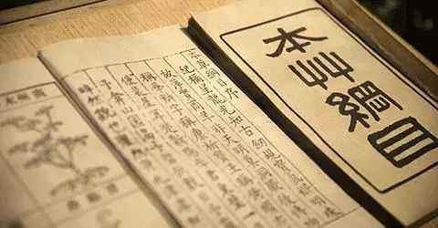 被误读的彼岸花，就是“阑边不见蘘蘘叶，砌下惟翻艳艳丛”之石蒜