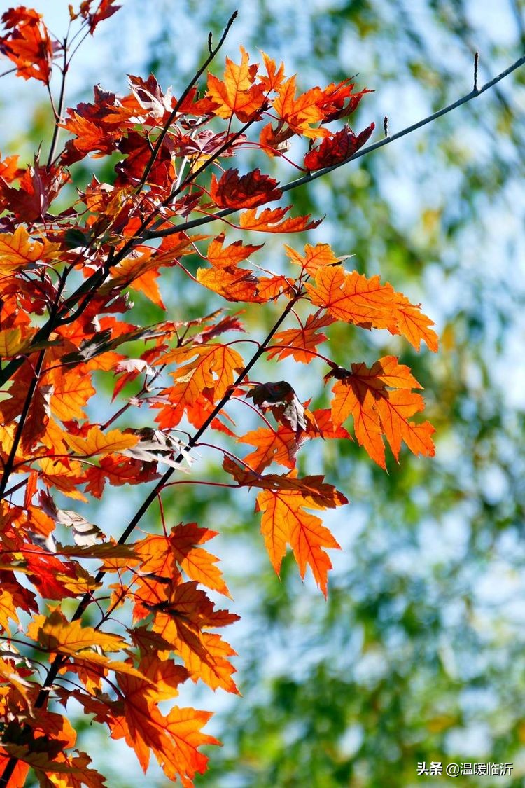 竹泉村景区,最美竹泉村