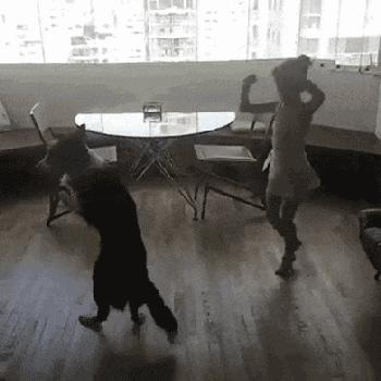 开心搞笑视频小哥哥,小哥哥搞笑视频gif