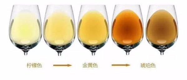 最全的葡萄酒基本知识大全,葡萄酒的品种排名及价格图片