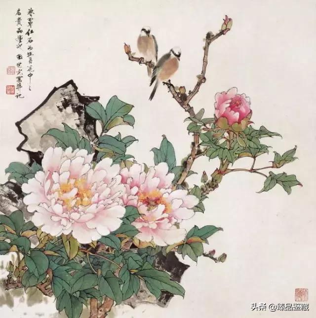 工笔大师田世光,工笔画大师田世光画孔雀好美