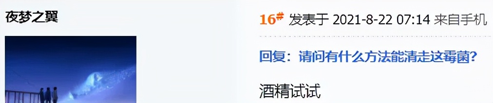 高温烘干能消灭霉菌吗,紫外线能处理家里的霉菌