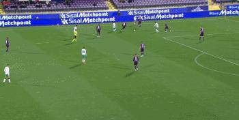 凋谢的紫百合，破碎的美丽足球之梦