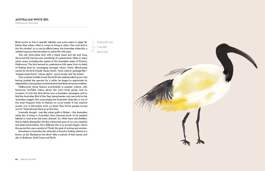 童真稚趣,稚拙童趣天真