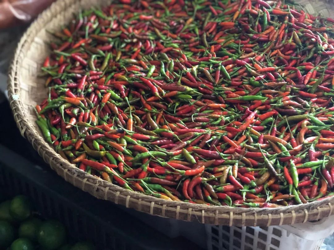 出不了门的心情,出不了门的日子让人心绪难平