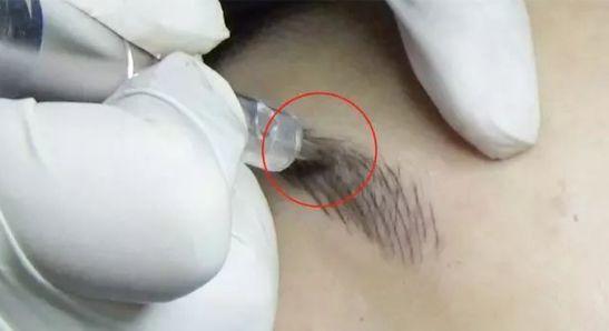 梵娅美学眉毛,梵娅讲纹眉视频