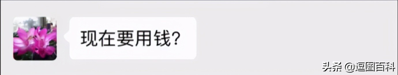 钱不是大风刮来的却是大风刮没的,谁说钱不是大风刮来的